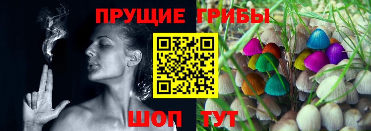 Галлюциногенные грибы мухоморы  купить  цена  Советск  Вход с VPN  Галлюциногенные грибы мухоморы 