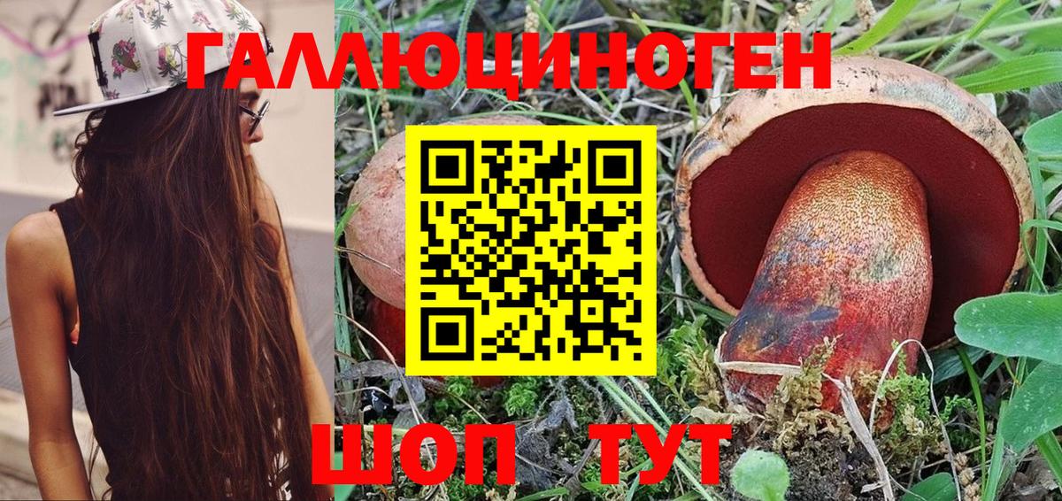 Псилоцибиновые грибы прущие грибы Советск